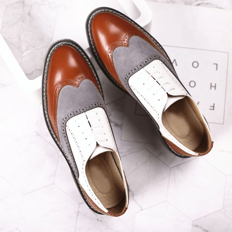 Menn Brogue Colorblock Oxfords Snøring Business Casual Formell Sko